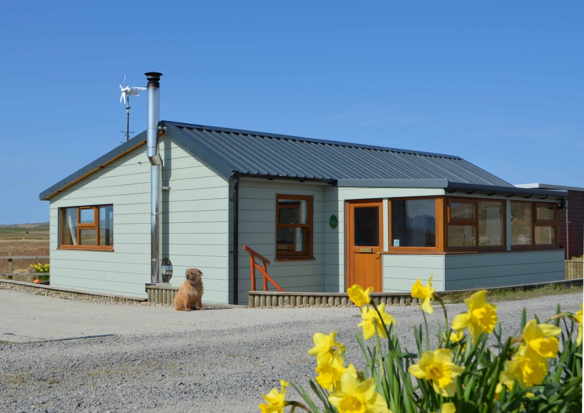 Front-of-cottage-with-daffodils