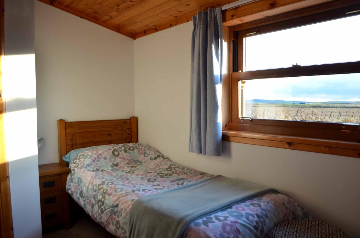 Single-Bed