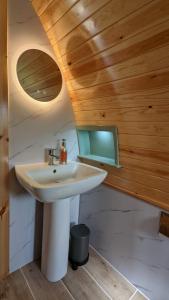 IMG-20250226-WA0030
